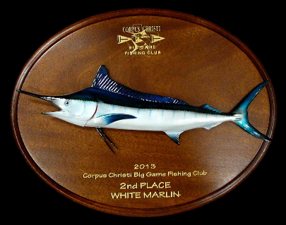 18" White Marlin on a Mahogany Plaque