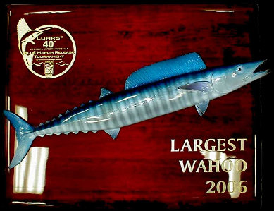 16" Wahoo on a Rosewood "piano Finish" Plaque with Gold Laser Engraving 16" Wahoo on a Rosewood "piano Finish" Plaque with Gold Laser Engraving