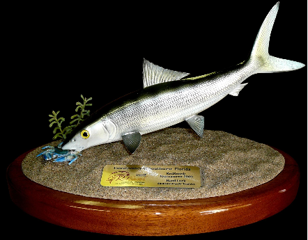 14" Bonefish Eats a Crab on a Sand Sculpture and Mahogany Base 14" Bonefish Eats a Crab on a Sand Sculpture and Mahogany Base