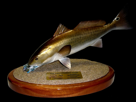 18" Redfish Eats a Crab on a Sand Sculpture and Mahogany Base 18" Redfish Eats a Crab on a Sand Sculpture and Mahogany Base