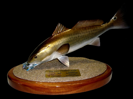 18" Redfish Eats a Crab on a Sand Sculpture and Mahogany Base