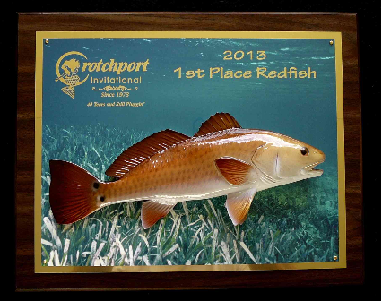 12" Redfish on a Photo Plaque with Gold Laser Engraving