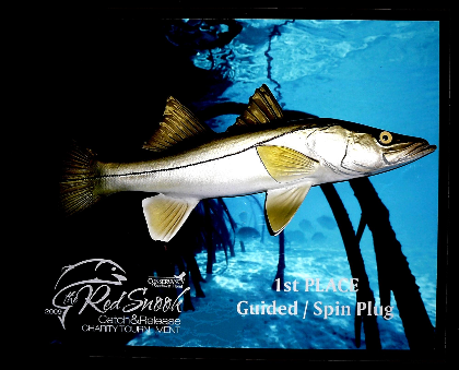 14" Snook on a Photo Plaque with Gold Laser Engraving 14" Snook on a Photo Plaque with Gold Laser Engraving