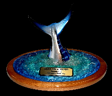 Hard Luck Tail Mount Trophy Hard Luck Tail Mount Trophy